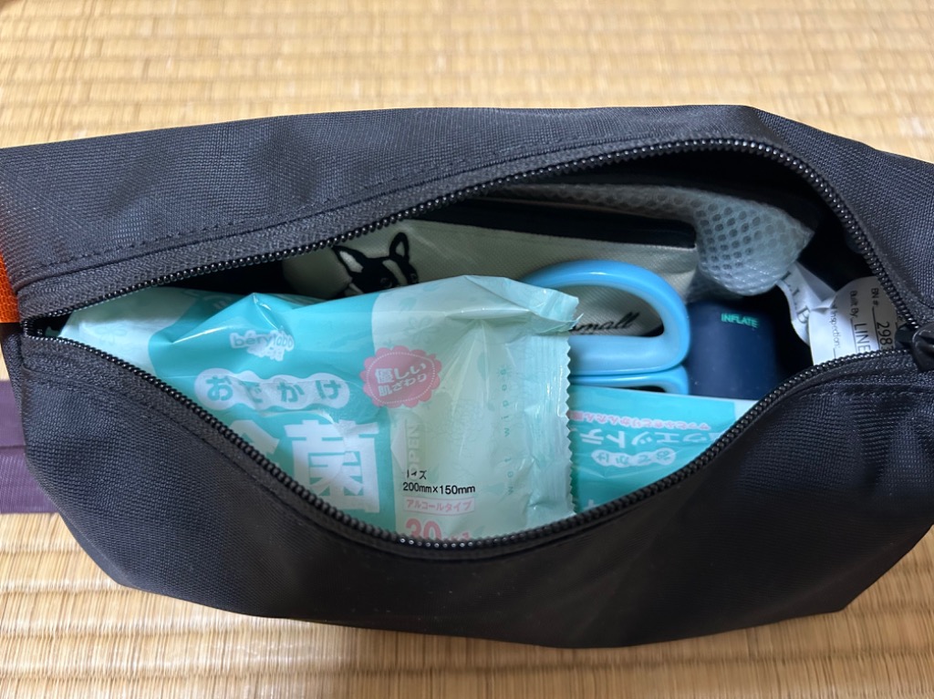 MYSTERY RANCH（ミステリーランチ） 【並行輸入品】 ポーチ ゾイド