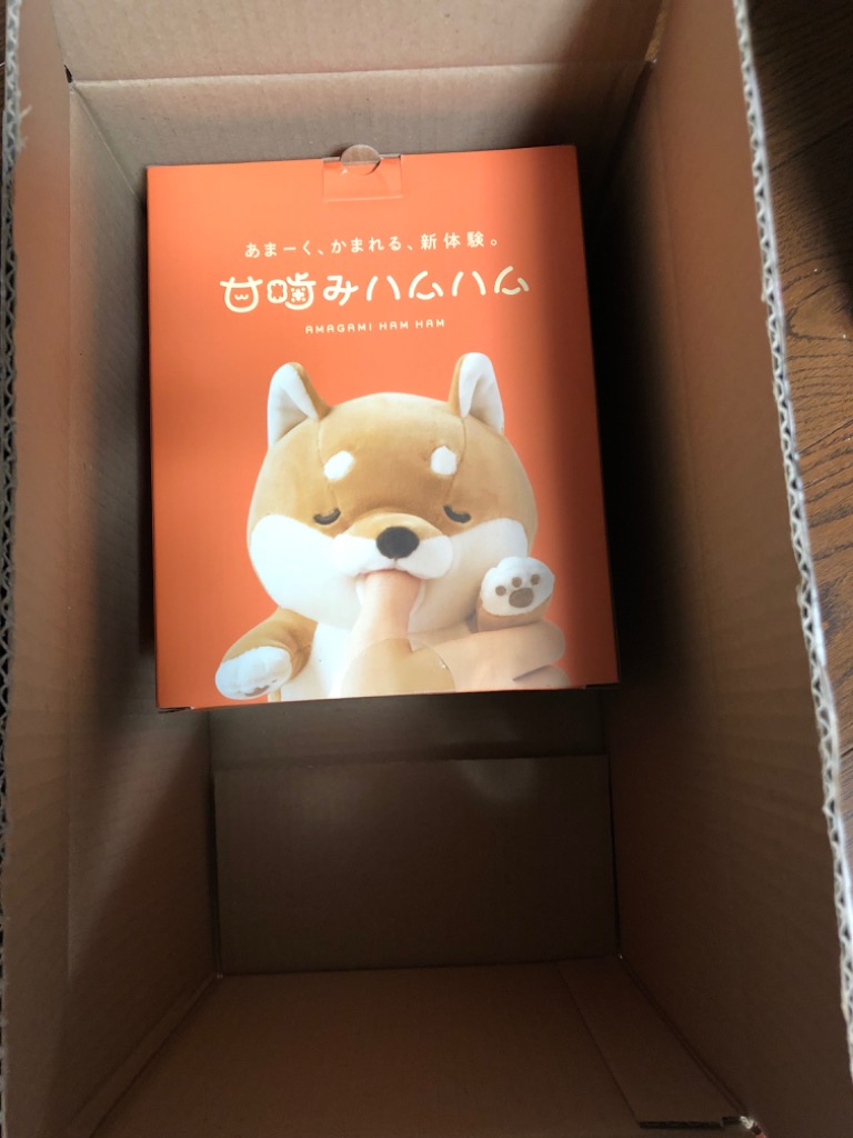 レビュー画像