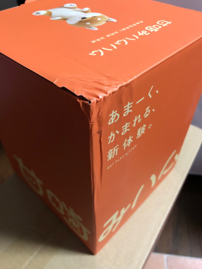 レビュー画像