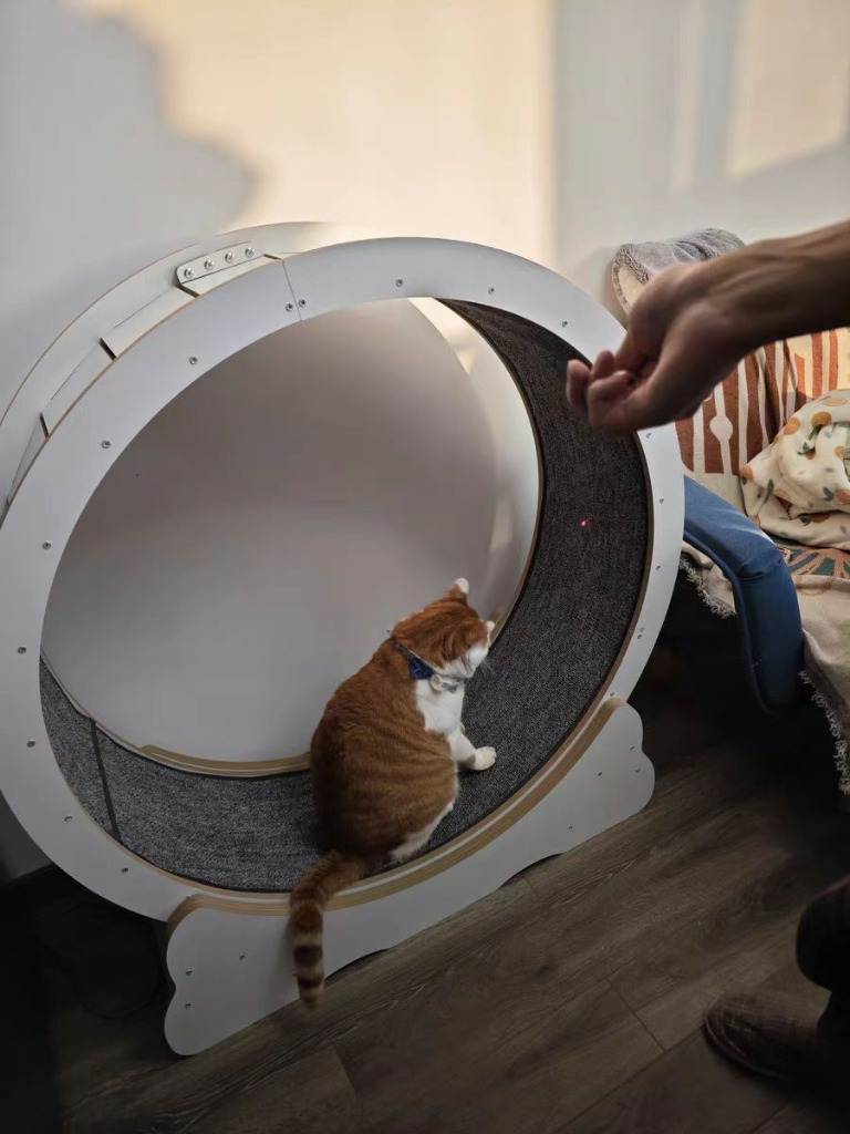 改良版 猫 トレッドミル キャット ホイール キャット運動 鍛錬 改良版 猫 トレッドミル キャット ホイール キャット運動 鍛錬