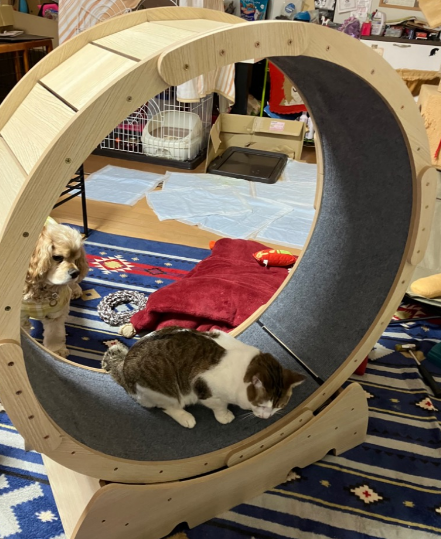 改良版 猫 トレッドミル キャット ホイール キャット運動 鍛錬