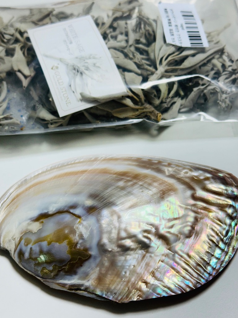 金属製 シェル型　貝殻　オルゴール　銀色 シェル型貝殻オルゴール銀色