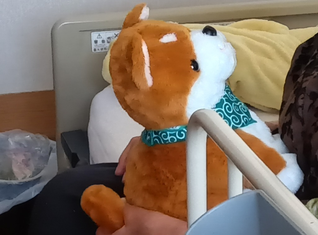しばいぬコウタ バンダナ付きセット 柴犬グッズ しゃべる犬