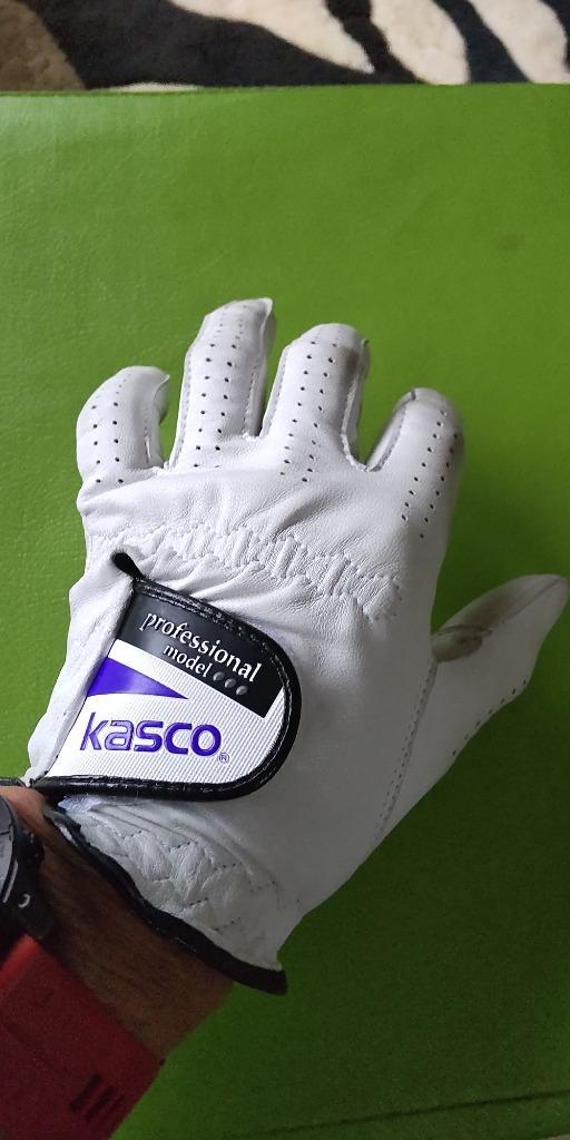 Kasco 22サイズ 10個セット プロフェッショナルモデル ゴルフ グローブ kasco キャスコ(kasco) ソフトシープ 本格天然皮革