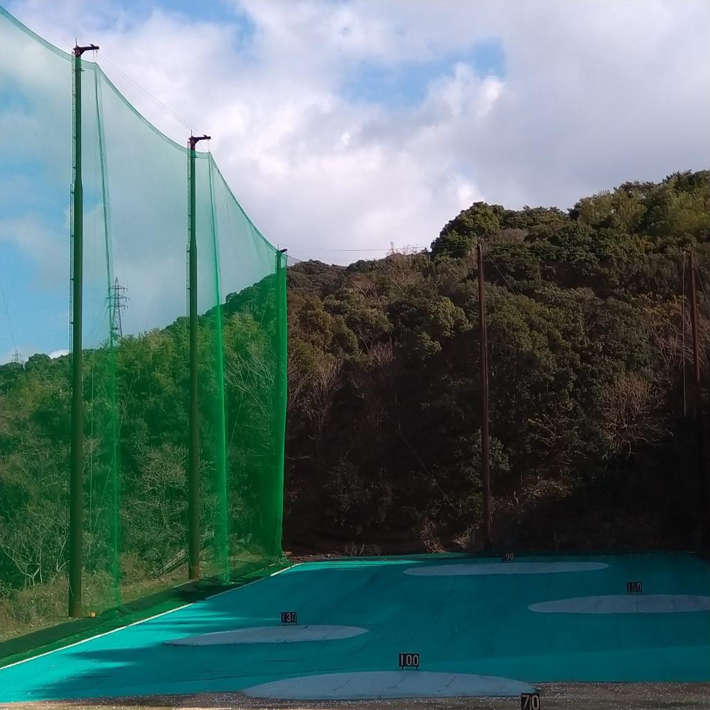 プラチナム ゴルフ レディース クラブセット L フレックス club