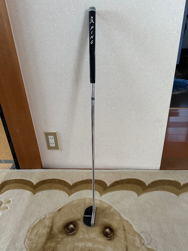 PING 2023 パター DS72 C（ディーエス72 C） : ゴルフギア
