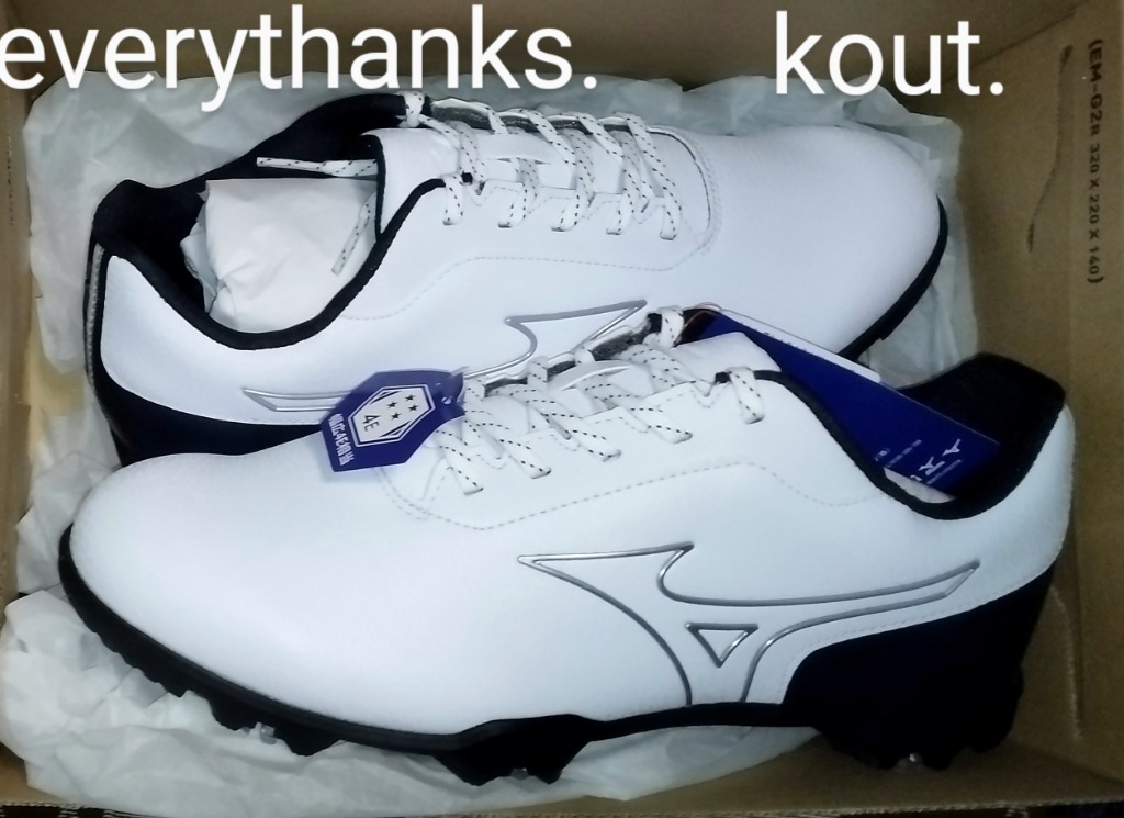 MIZUNO ミズノ ワイドスタイルライト ゴルフ シューズ ST 防水