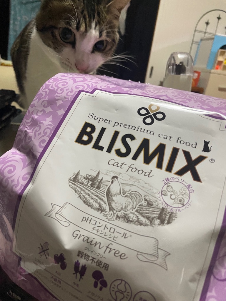 猫★BLISMIX pHコントロール（グレインフリーチキン）2kg②袋 取り寄せ品】ブリスミックス ブリスミックス グレインフリー