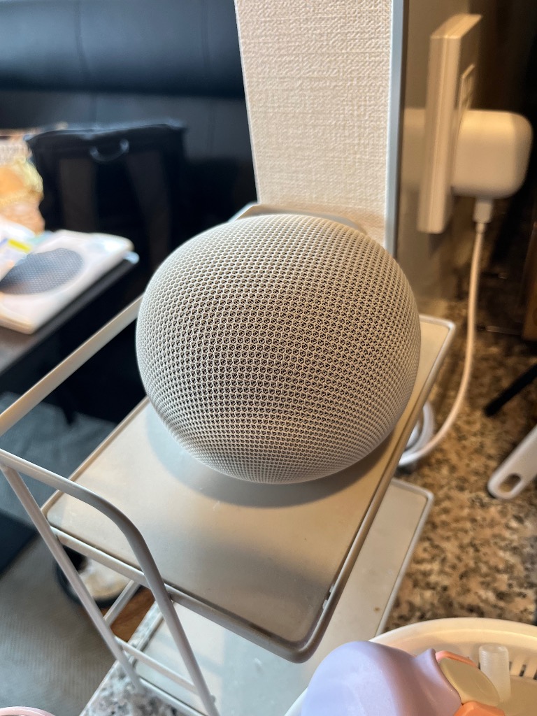 Google（グーグル） Google Home スピーカー Porcelain GA09978-JP