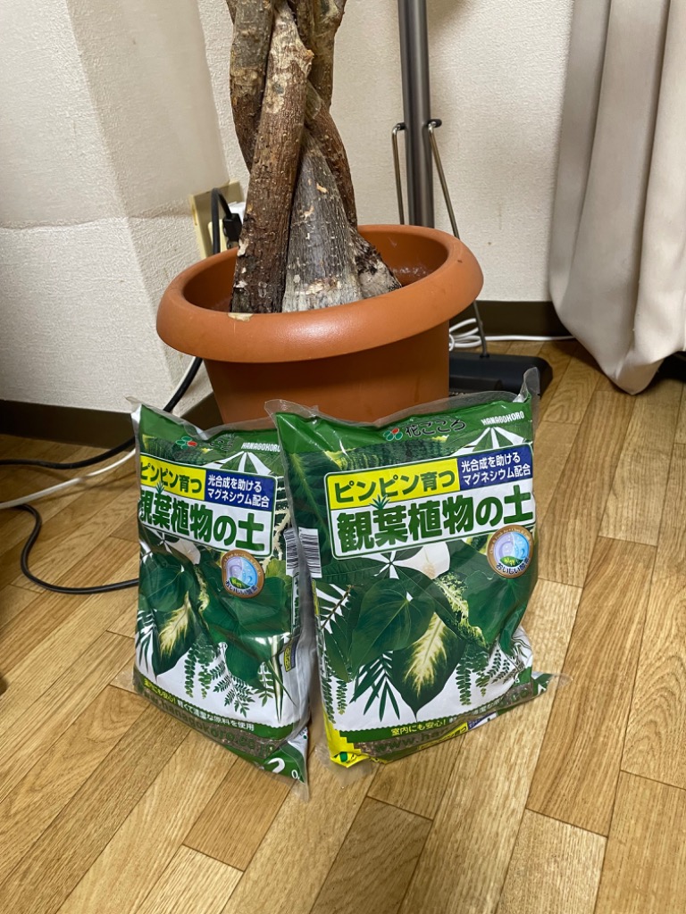 1件目のレビュー画像 | 0