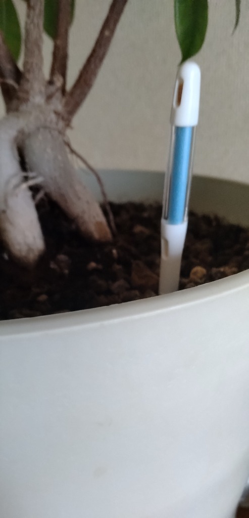 5件目のレビュー画像 | 1