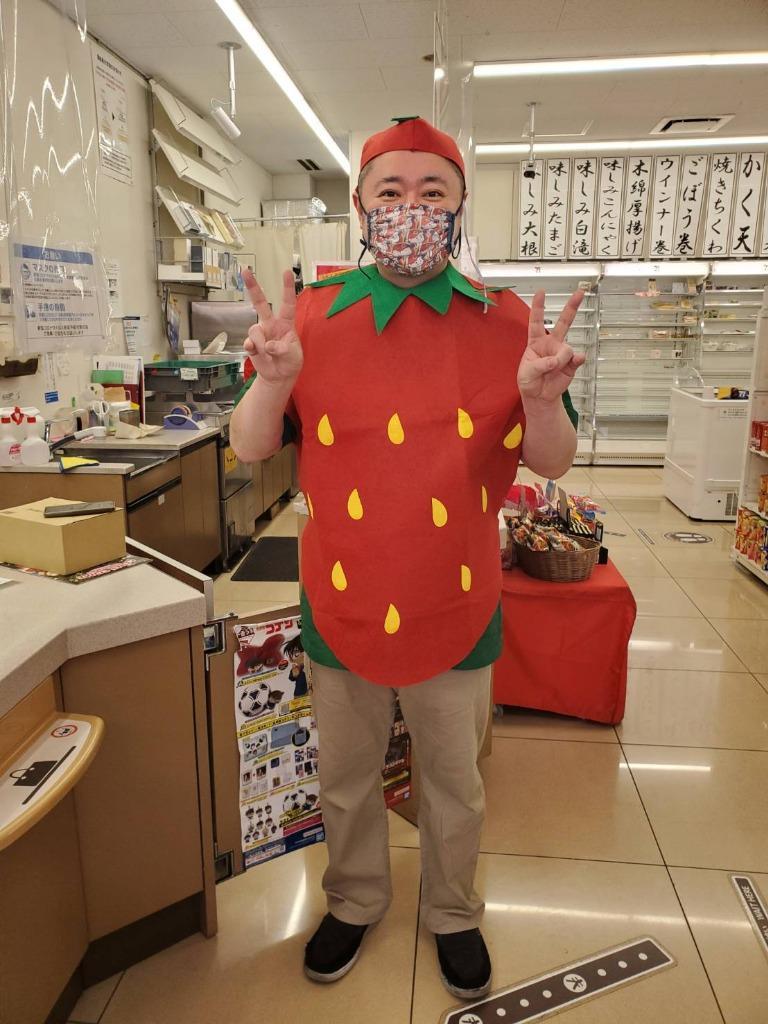 いちご コスプレ 衣装 野菜 着ぐるみ コスチューム イチゴ 苺