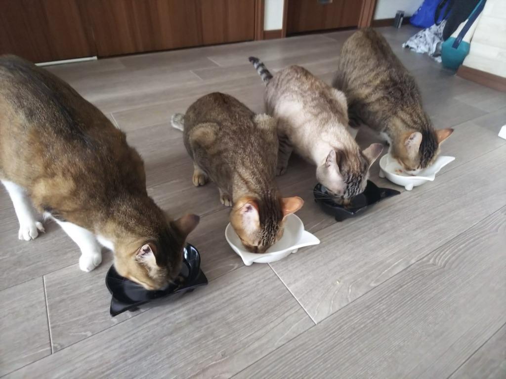 1件目のレビュー画像 | 0