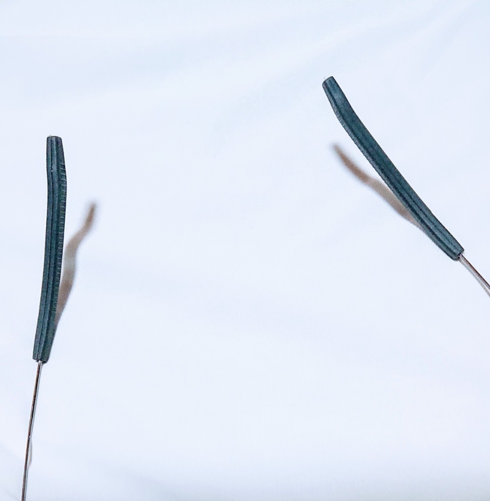 10件目のレビュー画像 | 1