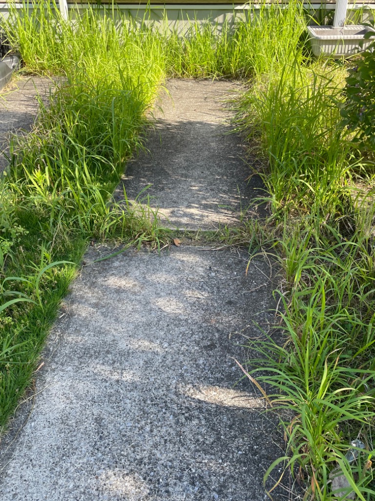 3件目のレビュー画像 | 0