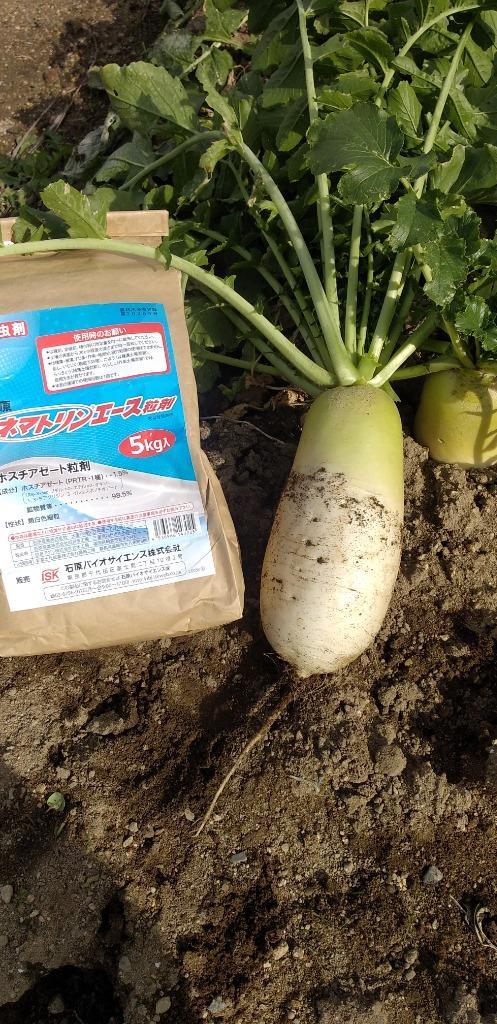 ネマトリンエース粒剤 5kg 土壌センチュウ殺虫剤 農薬 石原バイオ