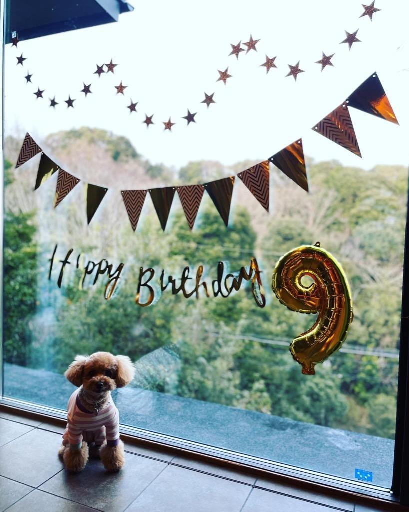 全体のレビュー画像 | 12-1