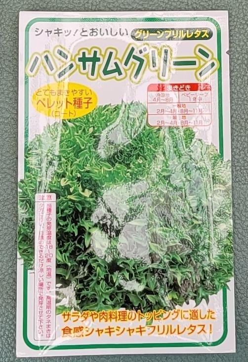 レタス ハンサムグリーン 100粒 横浜植木（株） :20160708975:グリーンロフトネモト - 通販 - Yahoo!ショッピング