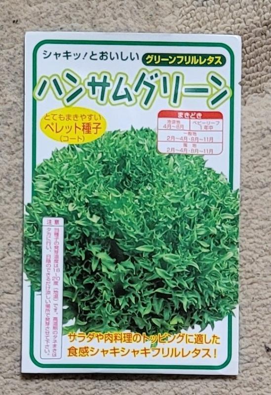 レタス ハンサムグリーン 100粒 横浜植木（株） :20160708975:グリーンロフトネモト - 通販 - Yahoo!ショッピング