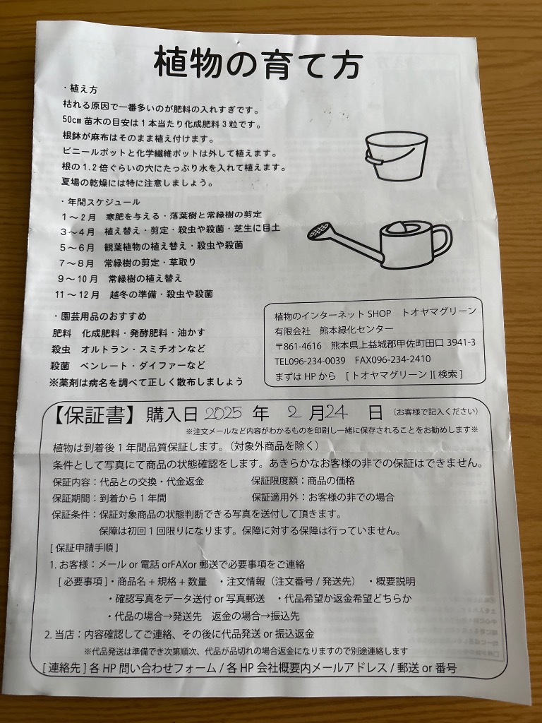 レビュー画像