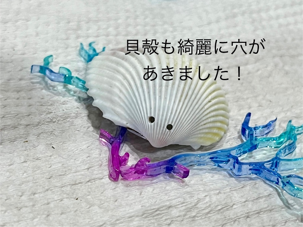 レビュー画像