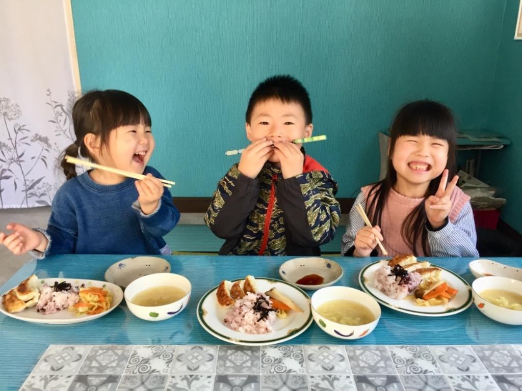 野菜餃子 Green 餃子 ヘルシー 菜食 国産野菜 業務用 40個 プラントベース 大豆ミート 植物肉 ヴィーガン ベジタリアン ぎょうざ  クール便送料別途 :rt10011705:グリーンカルチャー ONLINE STORE - 通販 - Yahoo!ショッピング