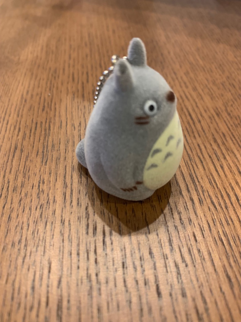 ⭐︎新品未使用⭐︎トトロ　大量　おまとめ 日本最大のトトロは癒し効果が無限大∞トトロと一緒に暮らしま