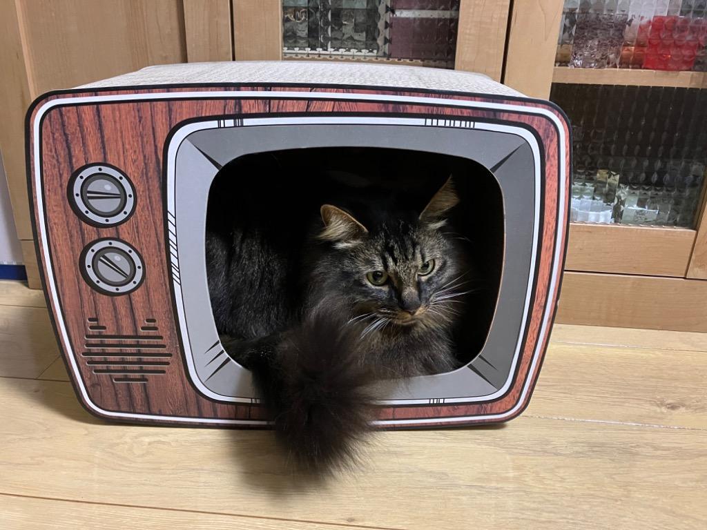 1件目のレビュー画像 | 0