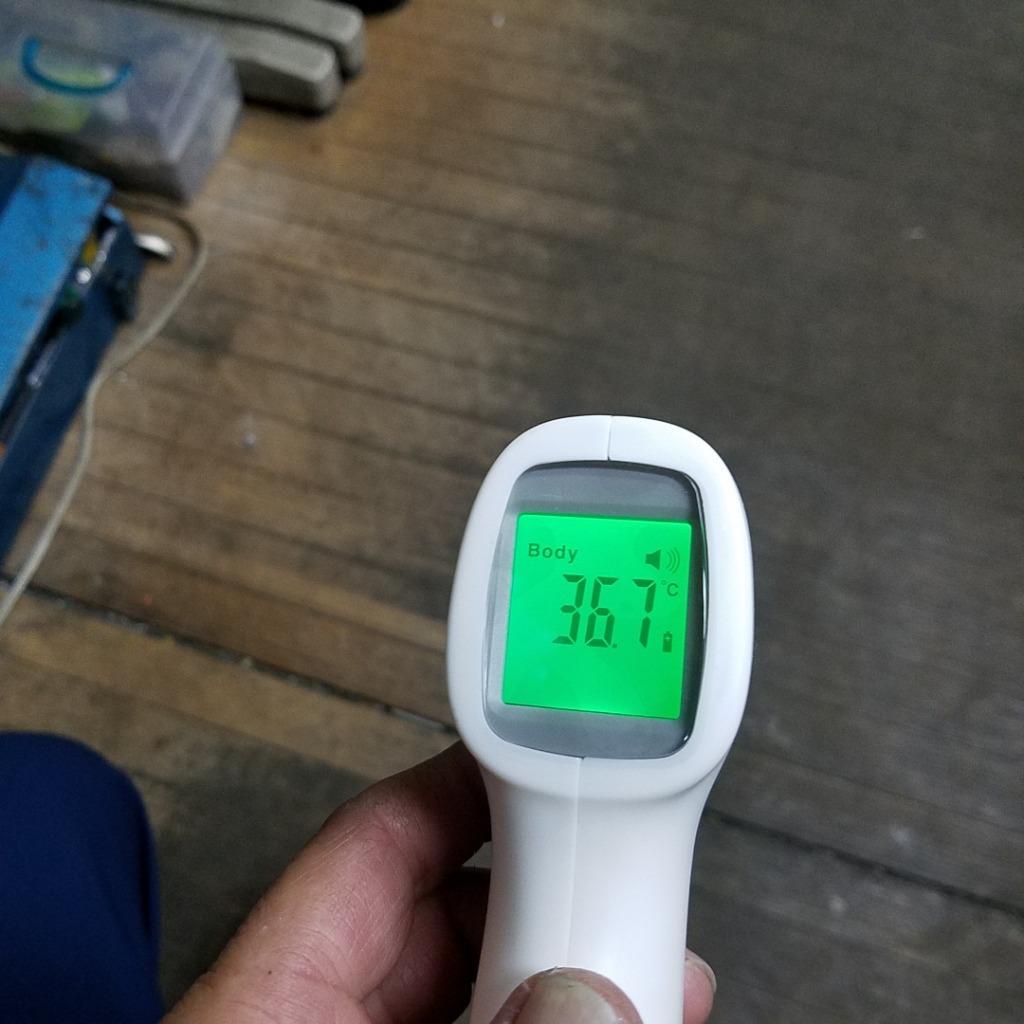 レビュー画像