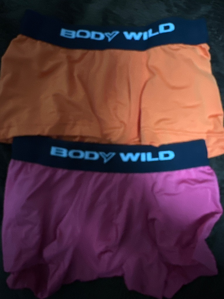 BODY WILD グンゼ ボクサーパンツ メンズ ローライズ パンツ