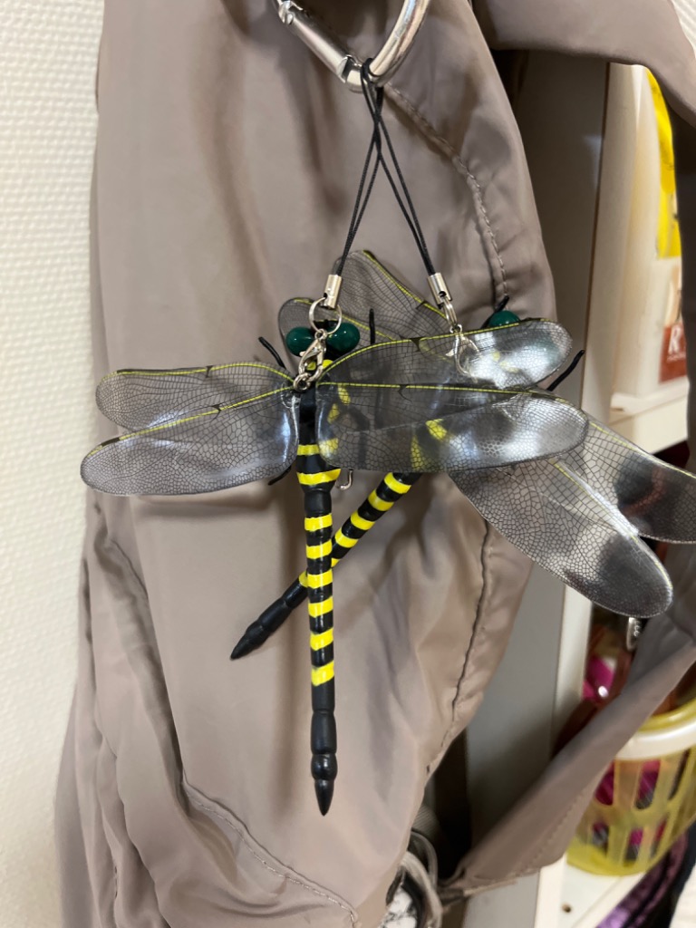 9件目のレビュー画像 | 0