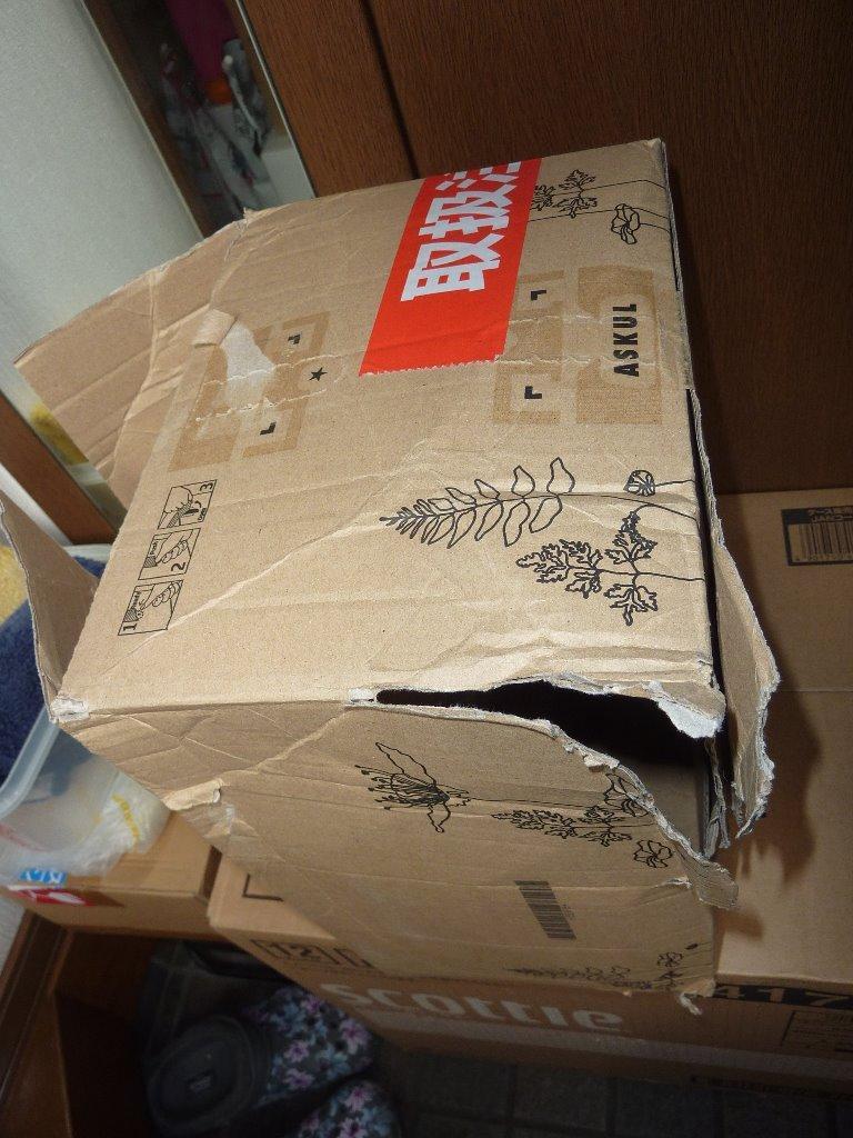 レビュー画像
