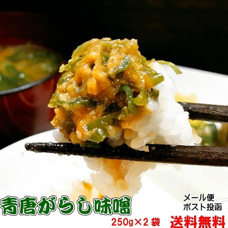 ご飯のお供 青唐がらし味噌 250g×2個セット メール便 送料無料 青唐辛子味噌 お取り寄せ グルメ つまみ 国産 みそ 青唐辛子  :4990855055026-2dm:ご飯のお供 八庵-はちあん 通販 