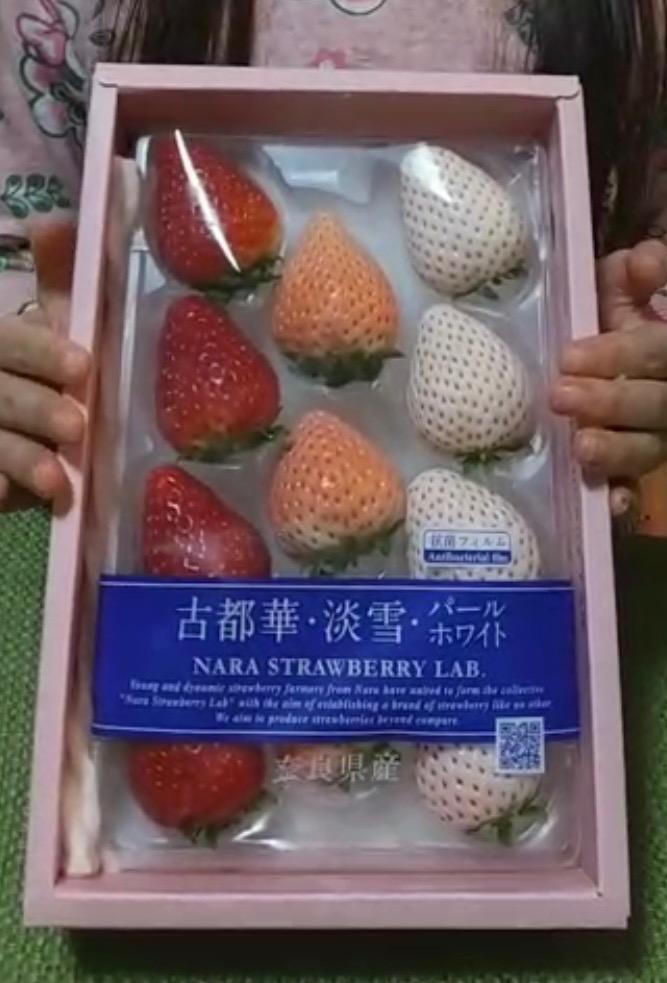 いちご 奈良いちごラボ 3種 （古都華・淡雪・パールホワイト