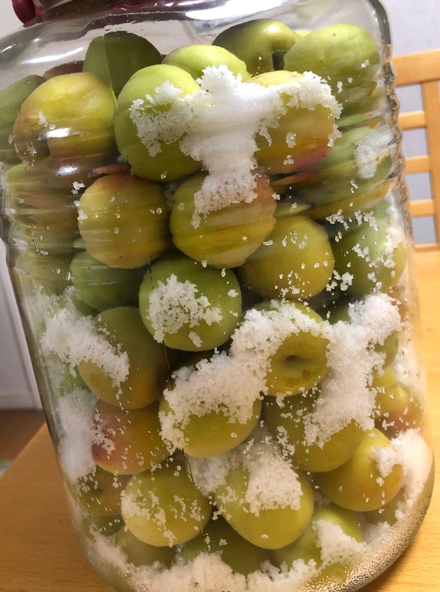 【奈良県産　南高　小梅】　秀品10Kg（サイズ混合） 梅 南高梅 産地厳選 秀品 3Lサイズ 10kg なんこう うめ 生梅