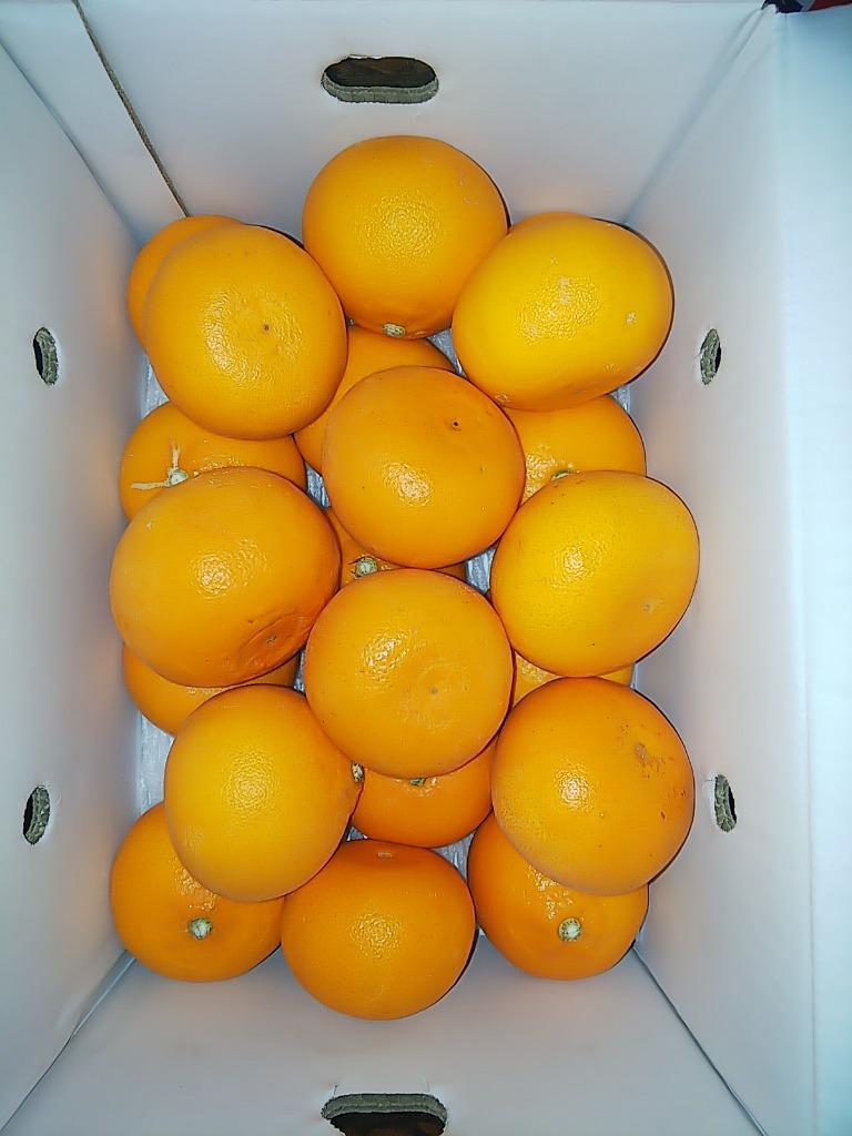 みかん setkja01.jpg
