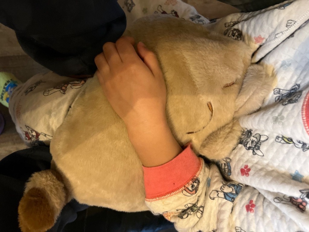 全体のレビュー画像 | 9-0