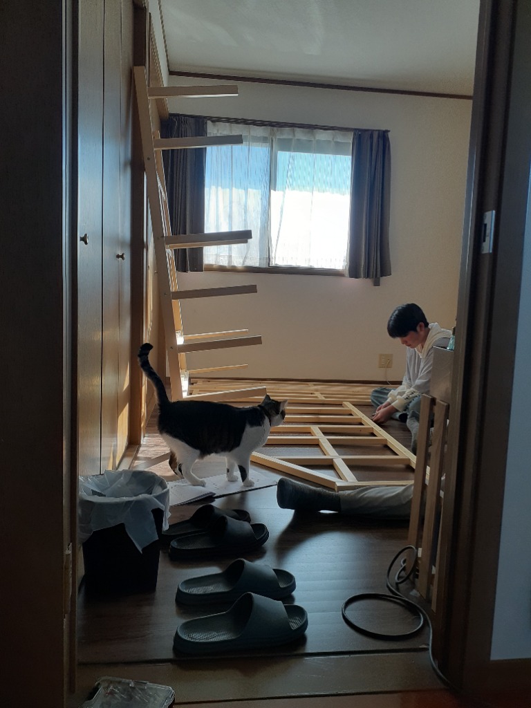 全体のレビュー画像 | 0-2