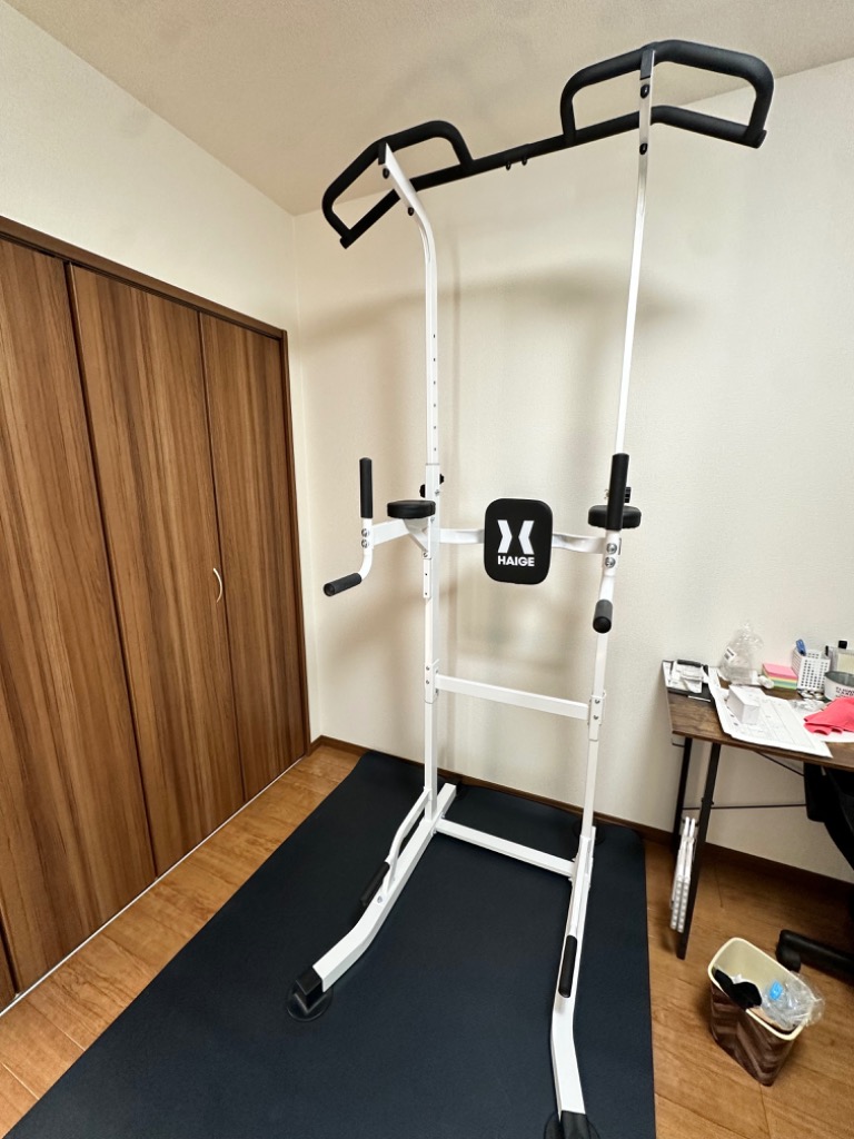 ハイガー公式 プラップバー 懸垂バー プロユース 耐荷重230kg