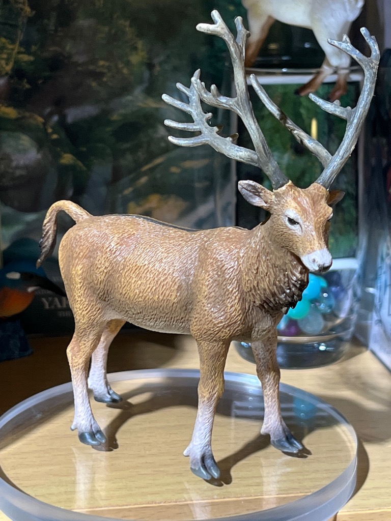 コレクタ／COLLECTA 88829 シフゾウ 動物フィギュア : 動物フィギュア