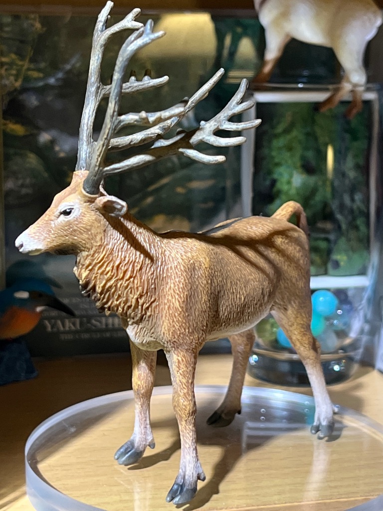 コレクタ／COLLECTA 88829 シフゾウ 動物フィギュア : 動物フィギュア