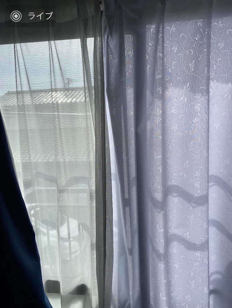 全体のレビュー画像 | 1-0