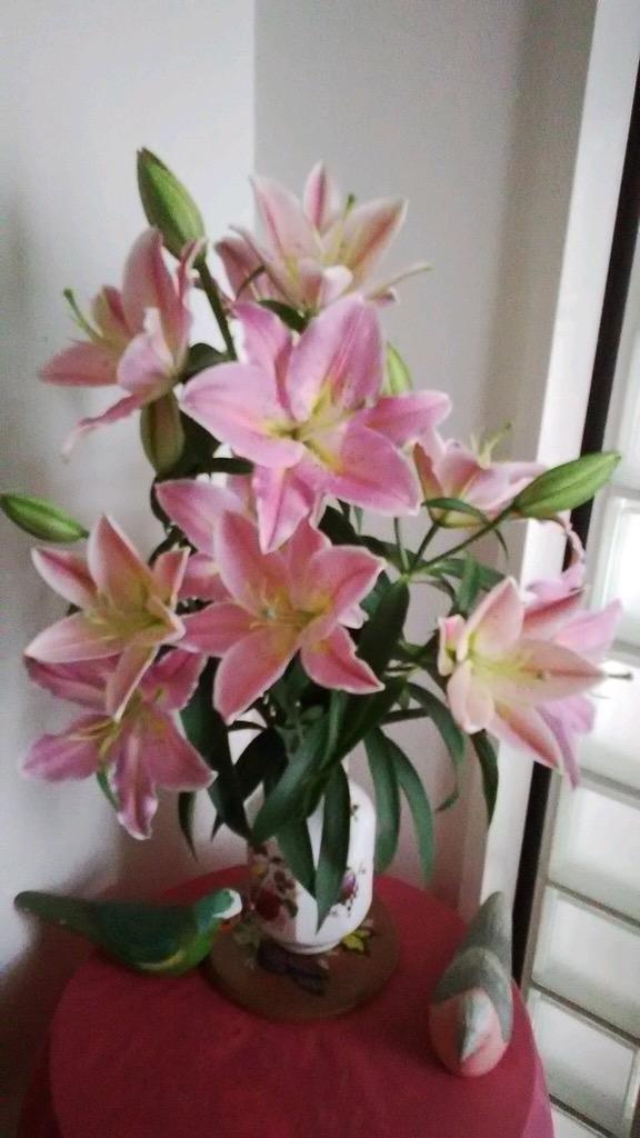 ピンク ゆり花束 敬老の日 豪華さと香りの百合 フラワーギフト : lily