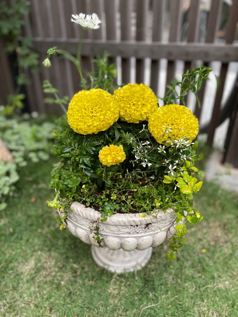 植木鉢 おしゃれ CARNAC ゴブレットB−S−WH ホワイト GFB300SWH