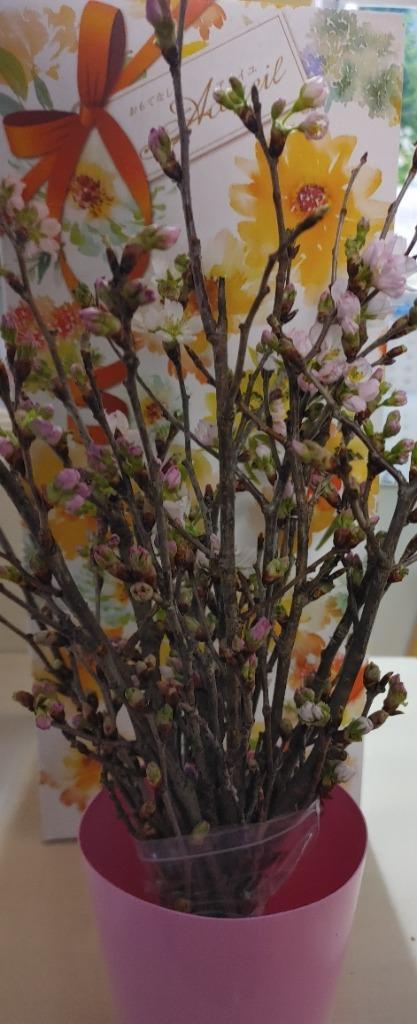 作家さんの桜皮張り履き物 作家さんの桜皮張り履き物