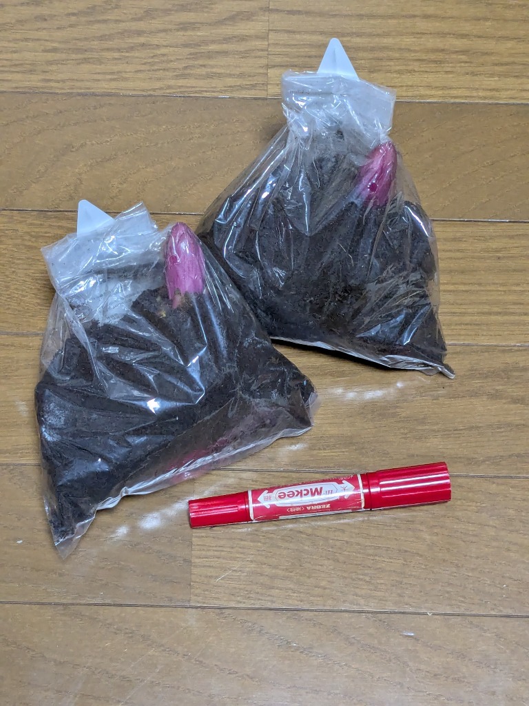 レビュー画像