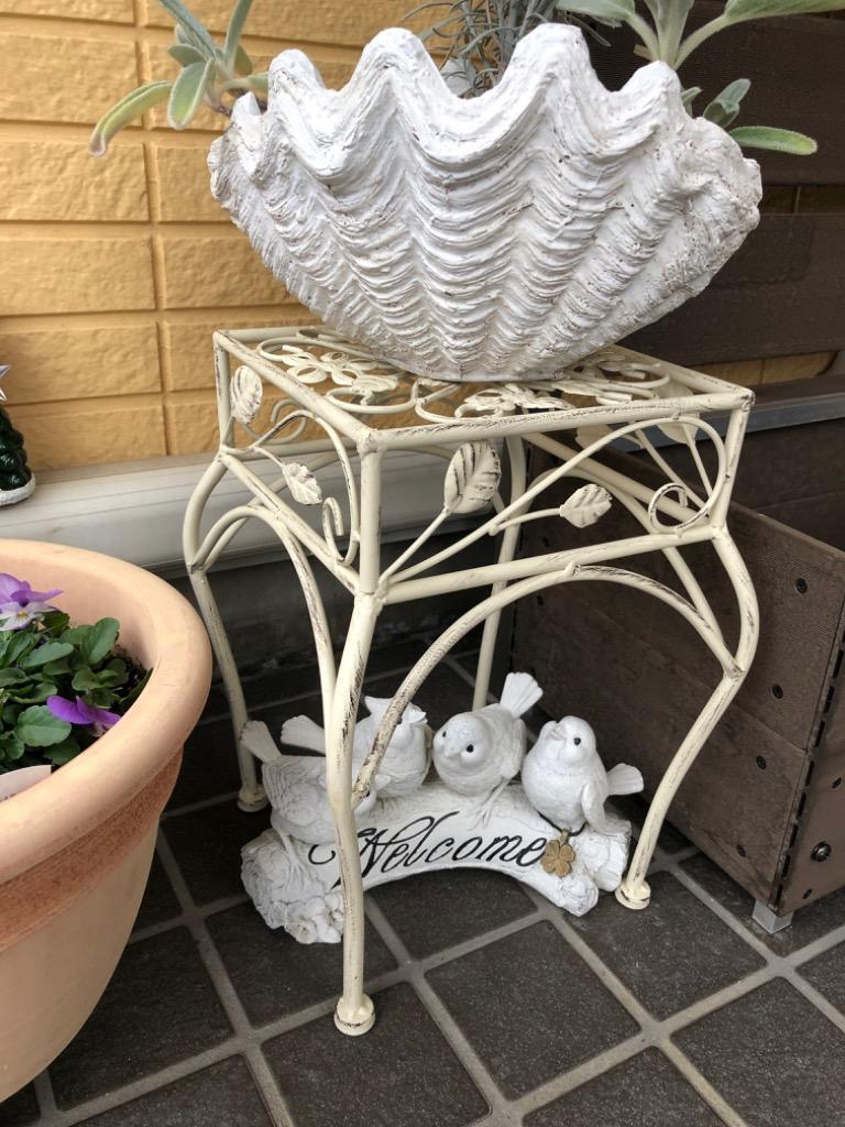 1件目のレビュー画像 | 0