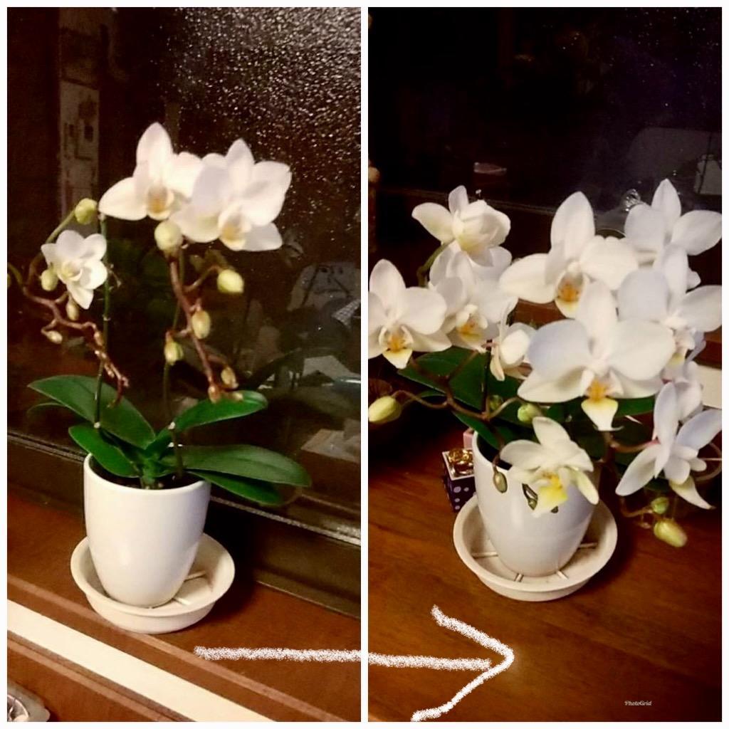 全体のレビュー画像 | 9-0