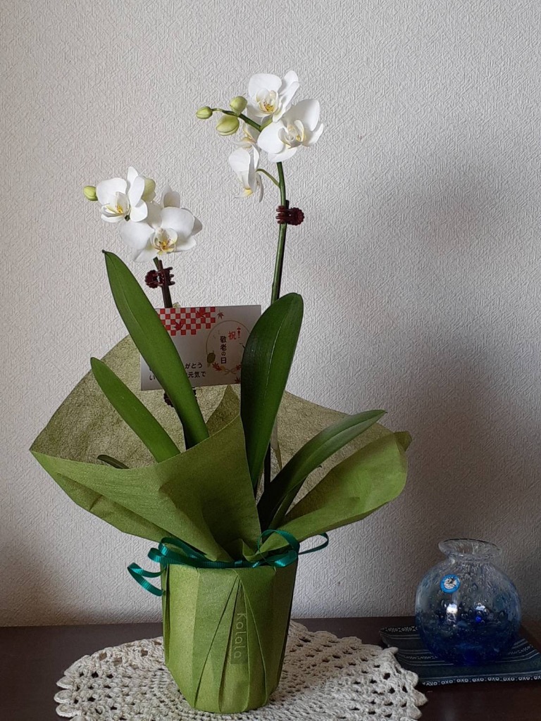 全体のレビュー画像 | 4-0