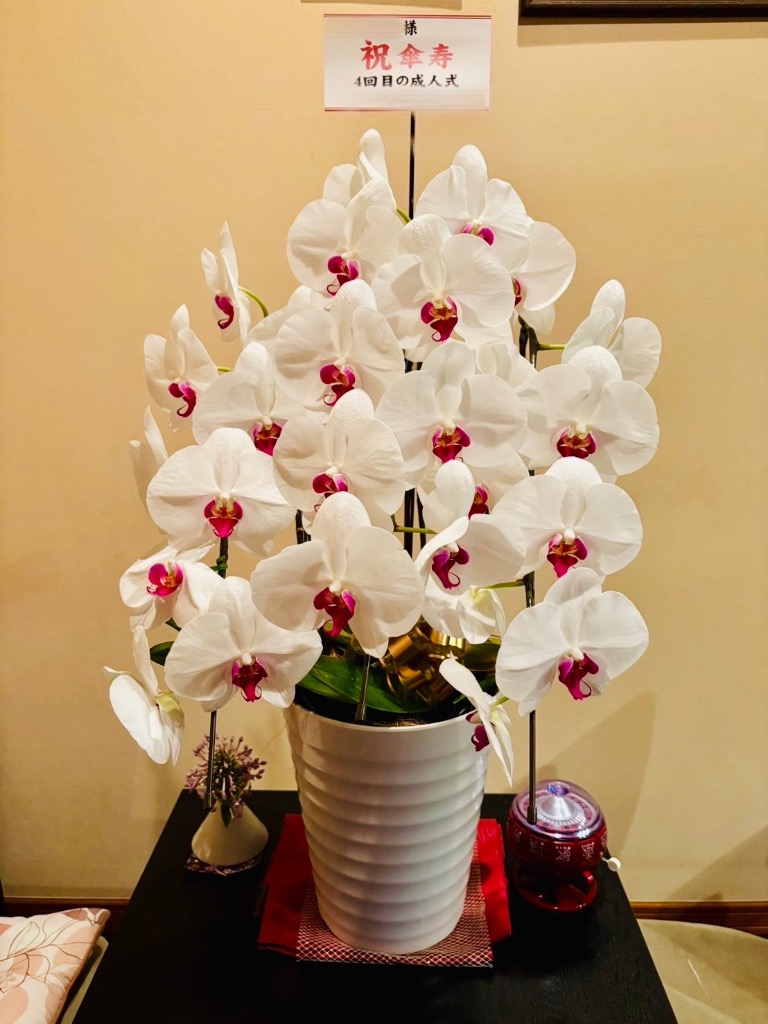 全体のレビュー画像 | 0-0